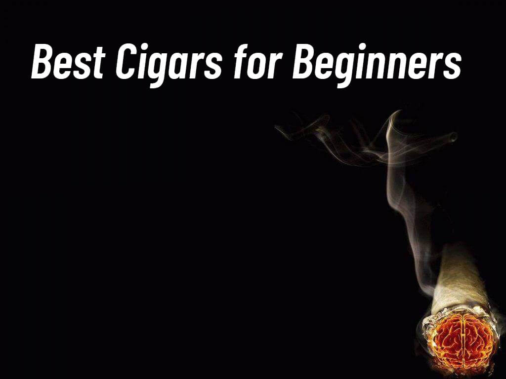 Best Cigars for Beginners: Our Top 5 Picks - My Store