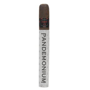 Asylum Pandemonium 8 1/2 x 70