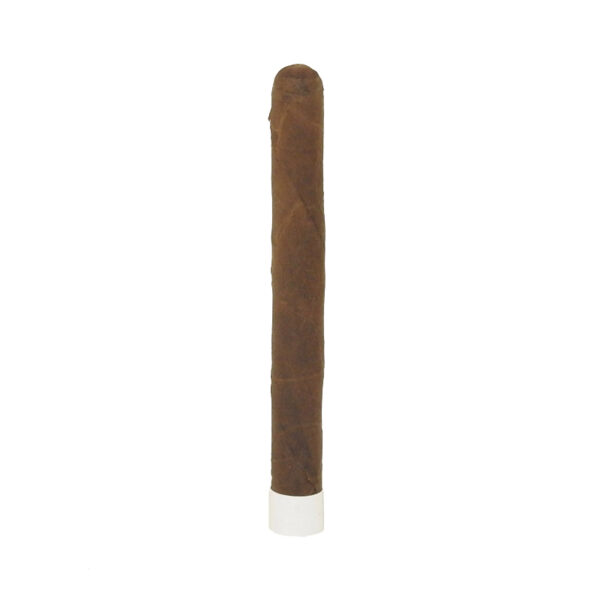 Tatuaje Petite